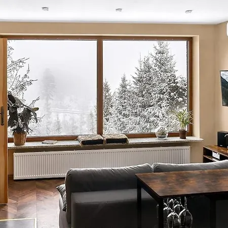 Apartament Widokowy Z Jacuzzi I Sauna Na Wylacznosc - Sikorowka - Dobre Miejsce Wisła Exterior foto