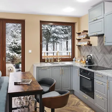 Apartament Widokowy Z Jacuzzi I Sauna Na Wylacznosc - Sikorowka - Dobre Miejsce Wisła Exterior foto